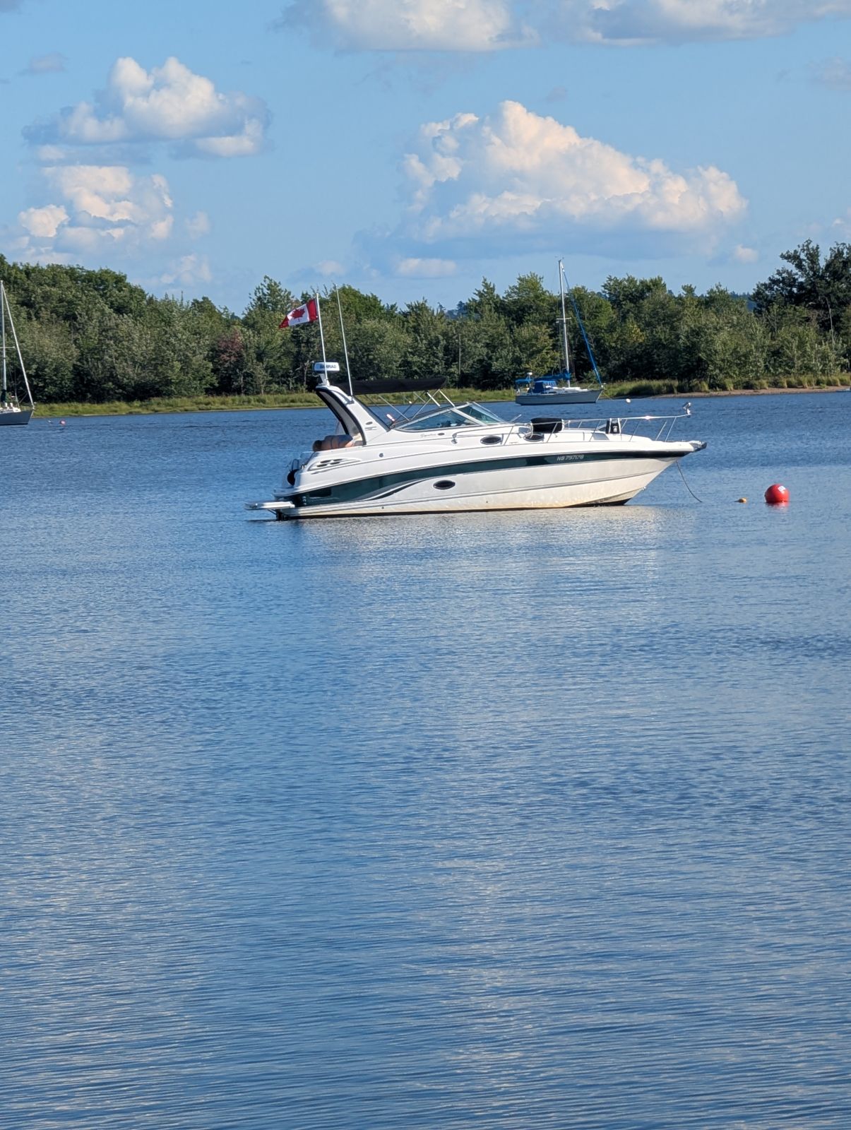 Island Belle at anchor off a wooded shore on a calm blue day